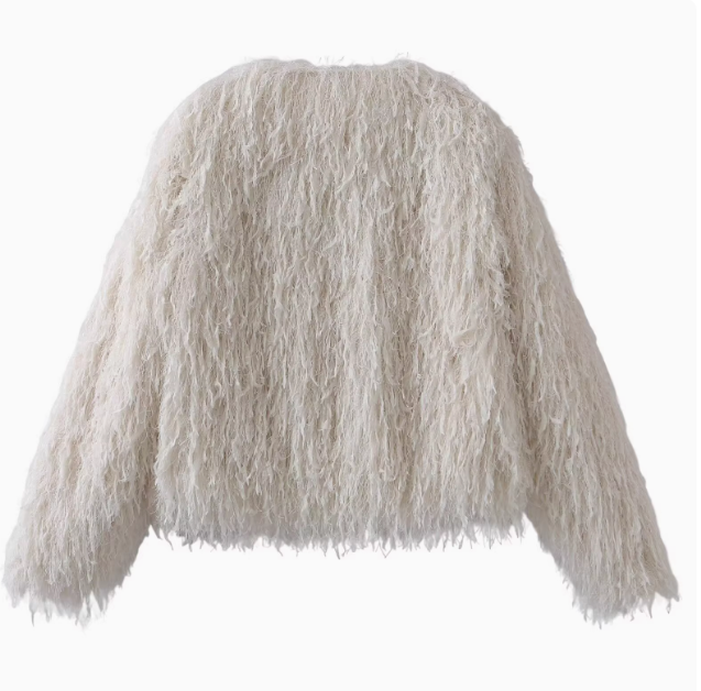 Celeste | Metal Trim Round Neck Jacket